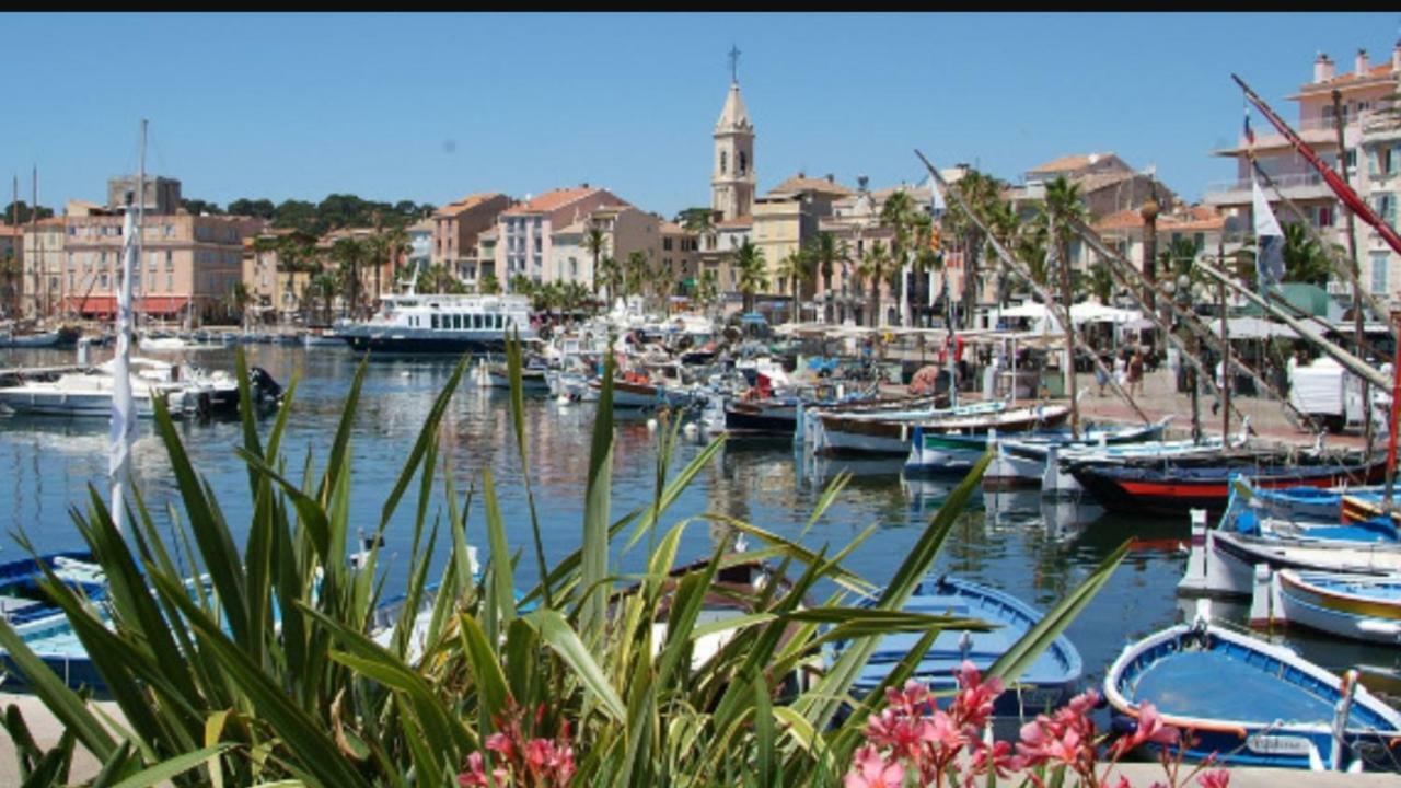 Terrasse Bandol